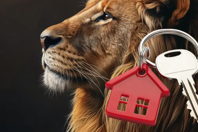 Como declarar imóveis no Imposto de Renda? Há como reduzir o ganho de capital na venda?